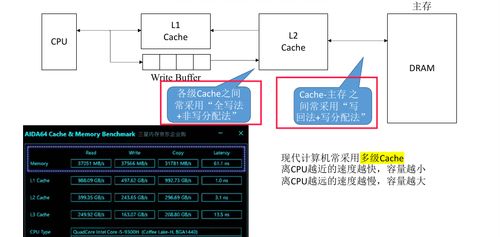 存储系统中的Cache写策略 高效与一致性的权衡艺术